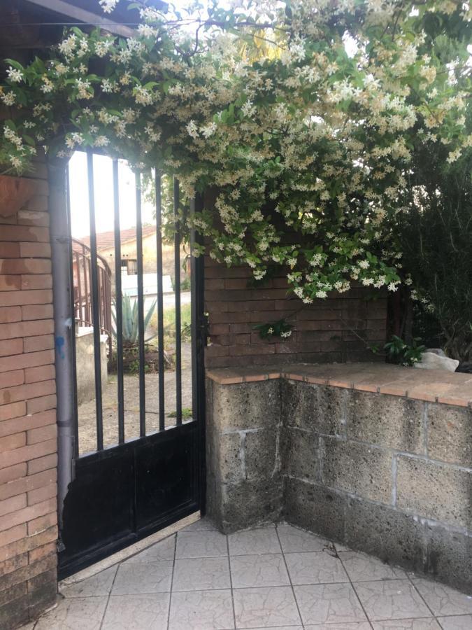 A Casa Di Nonna Emilia Bed & Breakfast กัมปาญา ภายนอก รูปภาพ