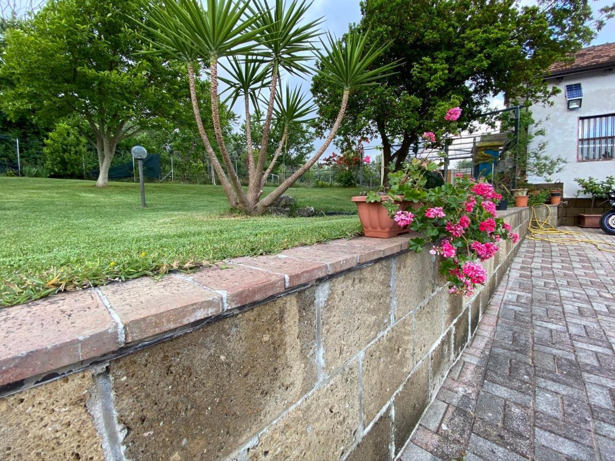 A Casa Di Nonna Emilia Bed & Breakfast กัมปาญา ภายนอก รูปภาพ