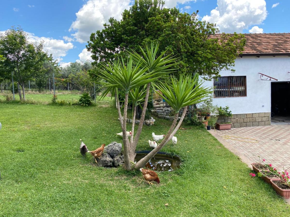 A Casa Di Nonna Emilia Bed & Breakfast กัมปาญา ภายนอก รูปภาพ