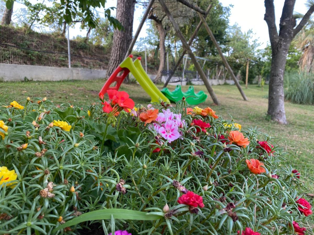 A Casa Di Nonna Emilia Bed & Breakfast กัมปาญา ภายนอก รูปภาพ